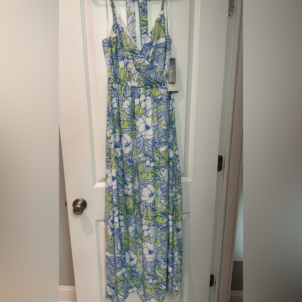 Lulus Maxi Dress
